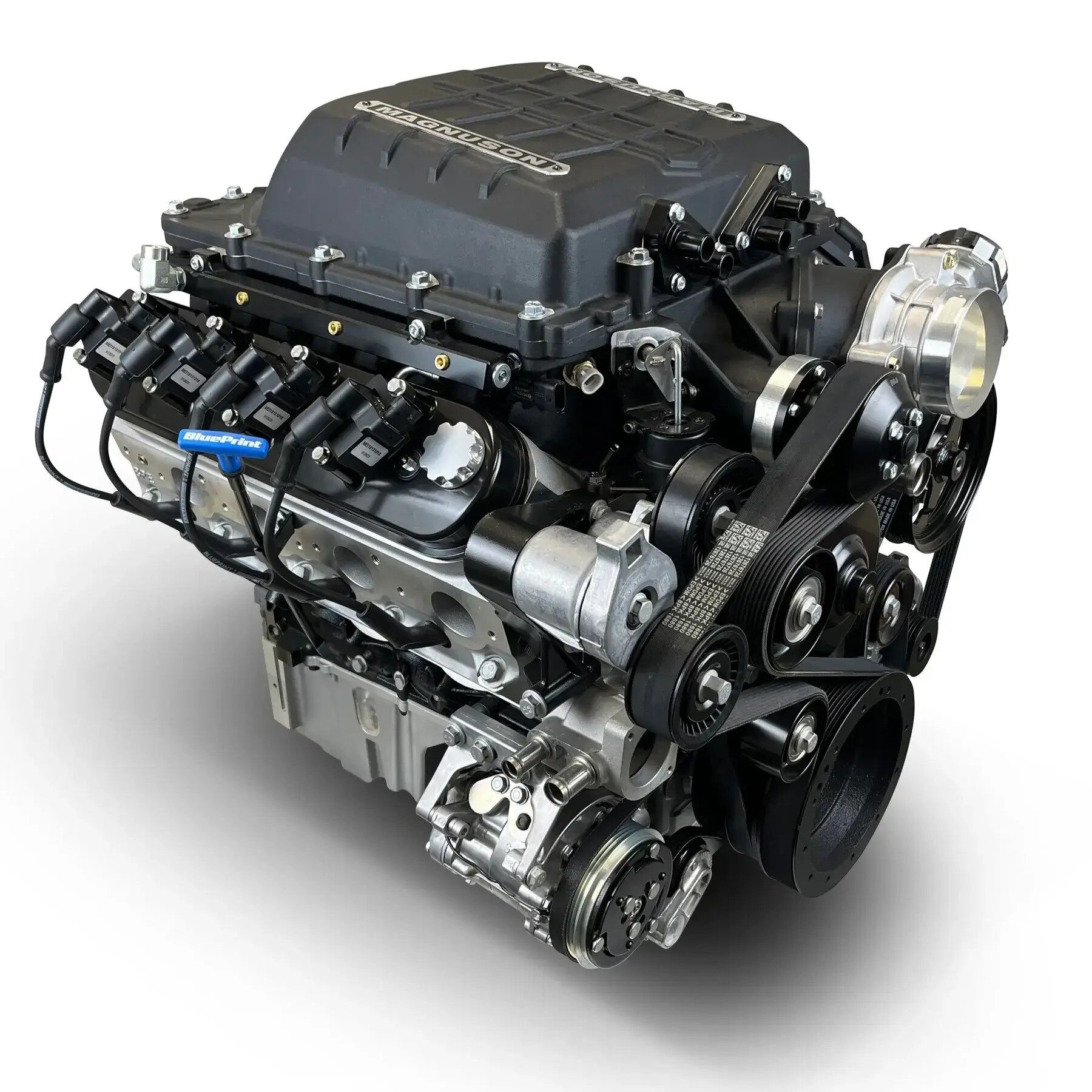 GM LS Compatible 427 c.i. Pro Series Engine - 800 Horsepower - Deluxe Dressed - Black Pulley Kit - Holley Terminator X EFI System - Image 2