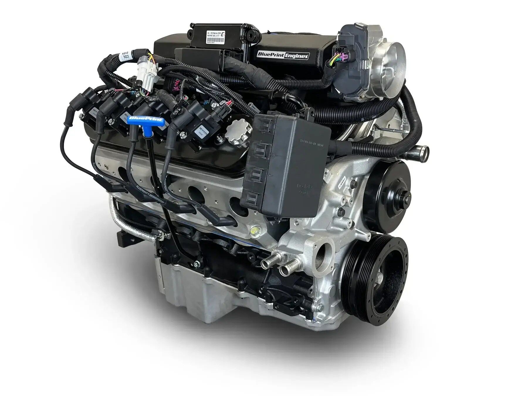 GM LS Compatible 376 c.i. Pro Series Engine - 525 Horsepower - Base Dressed - Holley Terminator X EFI System - Image 3