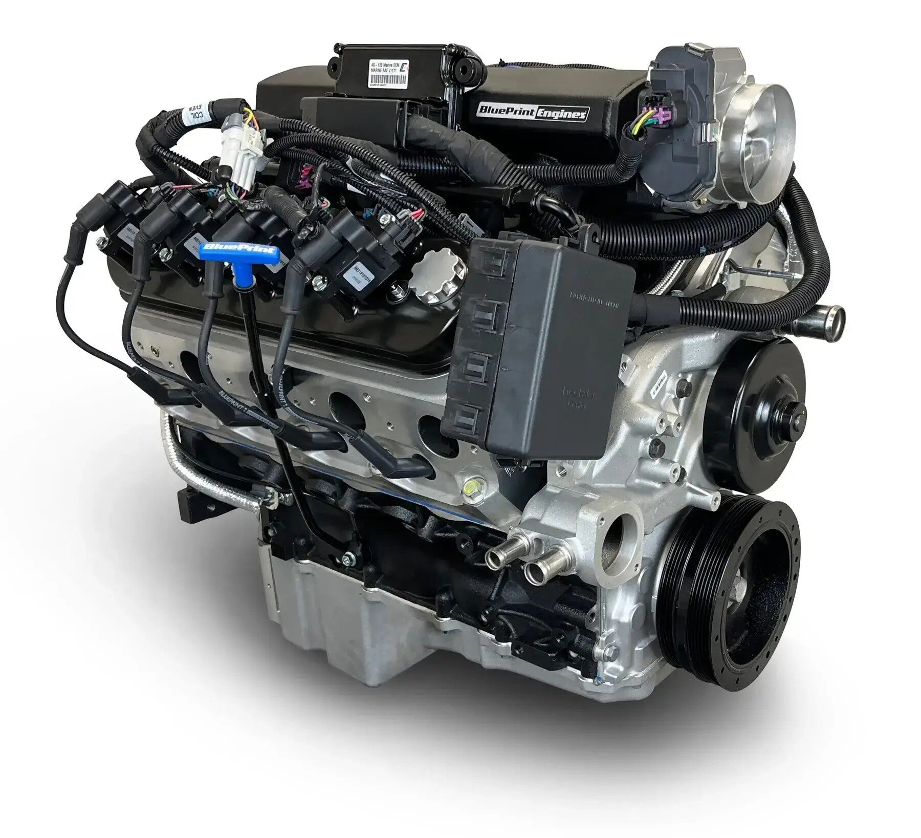 GM LS Compatible 427 c.i. Pro Series Engine - 600 Horsepower - Base Dressed - Holley Terminator X EFI System - Image 3